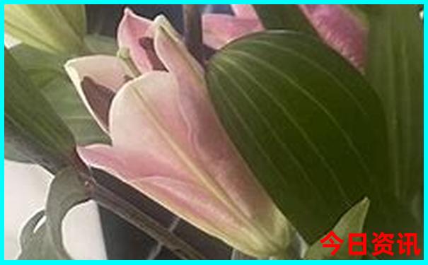 大连游玩推荐景点